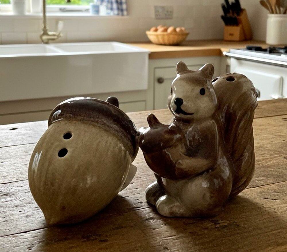 Ceramic Fall Squirrel & Acorn Salt and Pepper Shakers Set 2 Brown Beige